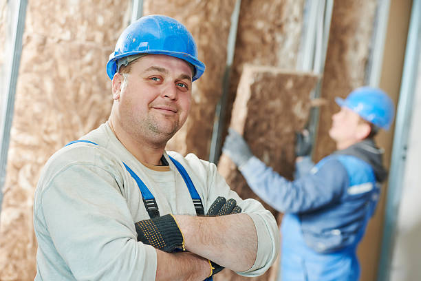 Best Insulation Installation Services in Round Lake Park, IL